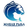 Telegram chat ЖИВАЯ-РЫБА.РФ 🇷🇺 logo