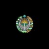 Telegram chat Savdo logo