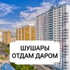 Telegram chat Шушары Отдам даром 🌅 logo