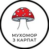 Telegram chat 🍄 МУХОМОР З КАРПАТ 🍄 logo