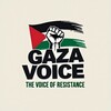 Telegram chat Gaza Voice Group logo