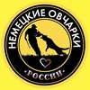 Telegram chat НЕМЕЦКИЕ ОВЧАРКИ РОССИИ logo