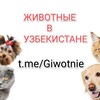Telegram chat Животные в Узбекистане logo