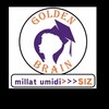 Telegram chat Barchasi GOLDEN BRAIN haqida🧠 logo