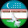 Telegram chat Голуби Узбекистана 🇺🇿🕊️🕊️ logo