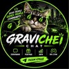 Telegram chat Gravichi logo