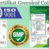 Telegram chat Greanleaf sog'lom hayot logo