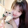 Telegram chat 阿联酋数据【阿联酋botim检测】Botim数据 logo
