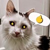 Telegram chat РЕФЕРАЛЫ «ТАПАЛКИ»ВЗАИМНЫЕ logo
