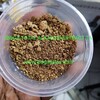 Telegram chat Buy Ibogaine Online 🌱 logo