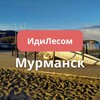 Telegram chat ИдиЛесом Мурманская обл путешествия logo