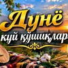 Telegram chat Дунё куй кушиклари logo