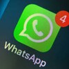 Telegram chat 印尼WS数据｜TG数据｜IM过蓝｜数据去重 logo