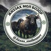 🇺🇿 ЖИЗЗАХ МОЛ БОЗОР 🐎🐄🐂🐑🐏 ОСИЁ MOL BOZOR JIZZAX MOL BOZOR - Telegram Groups