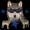 Telegram chat калеваал генг logo