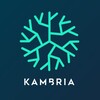 Telegram chat Kambria (KAT) Official logo