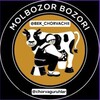 Telegram chat Karmana Xatirchi Navbahor Qiziltepa Molbozori logo