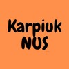 Telegram chat 🟠 Karpiuk 1-9 NUS   10-11 logo