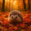 Telegram chat 🌳🦔Королевство Ежей🦔🌿 logo