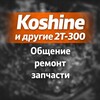 Telegram chat Koshine и другие 2Т 300 logo