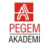 Telegram chat KPSS PEGEM PDF logo