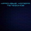 Telegram chat Красивые номера телефонов logo