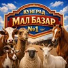 Telegram chat Кунград мал базар Kungrad mal bazar logo