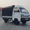 Telegram chat Labo tent koreyskiy logo
