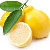Telegram chat 🍋LIMONCHILAR MARKAZI🍋 logo