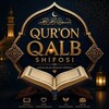 Telegram chat ﷽ 𝐐𝐔𝐑'𝐎𝐍 𝐐𝐀𝐋𝐁 𝐒𝐇𝐈𝐅𝐎𝐒𝐈 ﷽ logo