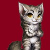 Telegram chat MainCoonINU ( ShiLL Group ) logo
