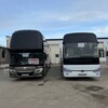 Telegram chat Mang'it Toshkent Avtobuz xizmati Toshkent mang'it Avtobuz🚍🚍🇺🇿🇺🇿🇺🇿🇺🇿 logo