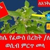 መርጌታ ሰለሞን - Telegram Groups