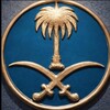 Telegram chat استفسارات عسكرية logo