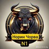Telegram chat НОРИН ЧОРВА БАРАКА logo