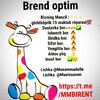 👫👫 BREND OPTIM👫👫👫👫 NAMANGAN - Telegram Groups