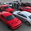 Telegram chat Mopar or no Car logo