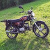 Telegram chat Альфаводы ЧАТ мопед Альфа Sigma Colt Vento Orion Irbis Racer Delta Yamasaki RX Regulmoto Motoland Minsk Musstang Nordwing Jordan logo