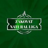 Telegram chat Natural (Xakaton) clubi logo