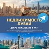 Telegram chat Недвижимость Дубай (ОАЭ) Live 🌇 logo