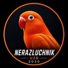 Nerazluchnik UZB🦜 Parrot birds Uzb🦜 - Telegram Groups