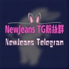 Telegram chat NewJeans Telegram 粉絲群 logo