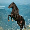Telegram chat 👍Ваш Янгиабад 👍 logo