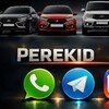 Telegram chat PEREKID UFA Chat logo