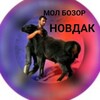 Telegram chat Новдак! Мол бозори! logo