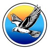 Telegram chat Новосоколовогорский logo