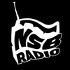 Telegram chat nsbradio_riot logo