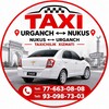 Telegram chat Urganch-Nukus logo