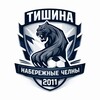 Telegram chat ФК ТИШИНА logo