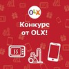 Telegram chat ОЛХ Нукус 24 logo